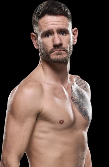 Jay Cucciniello