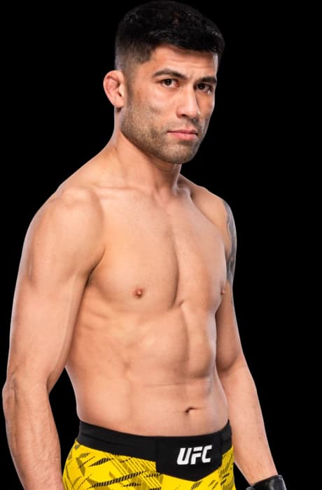 Hyder Amil