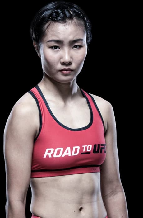 Feng Xiaocan